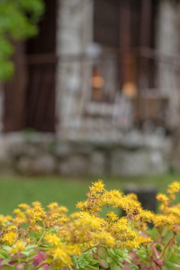 Apartment Urban Garden Rijeka Exterior foto